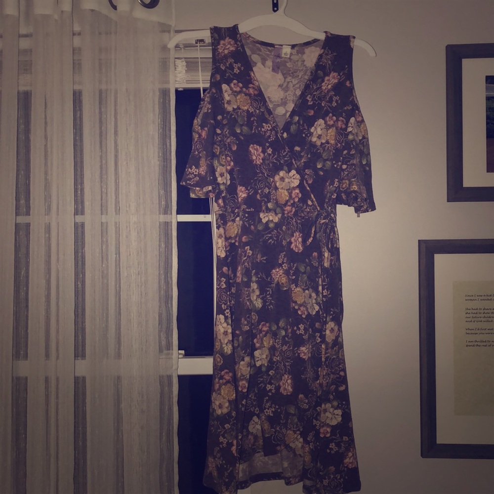 Francescas A line cotton dress